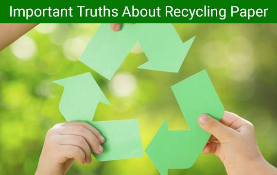 Important Truths About Recycling Paper